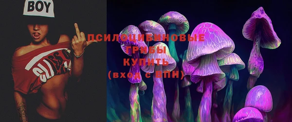 гидропоника Ельня