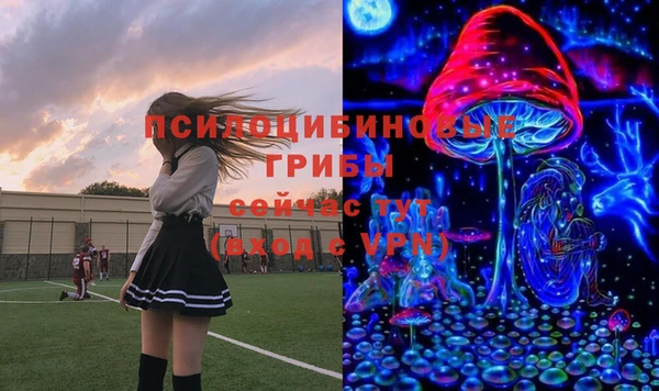 MESCALINE Елабуга