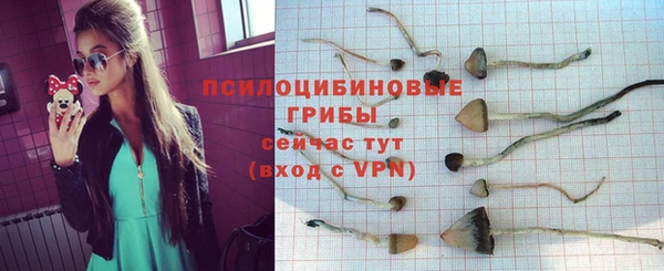 гидропоника Ельня