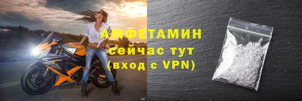 сатива Елизово